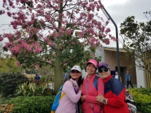 PB300005.jpg (535230 bytes)