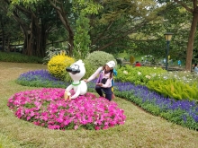 PB300020.jpg (603873 bytes)