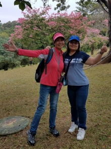 PB300026.jpg (541451 bytes)