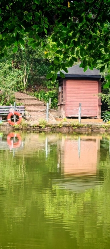 Thumbnail of pic_Cindy_Tse_016.jpg