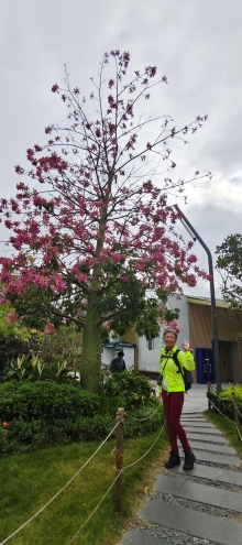 Thumbnail of pic_Derek_Wong_011.jpg