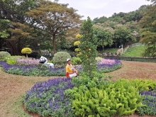 Thumbnail of pic_Szeto_017.jpg