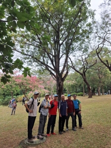 Thumbnail of pic_Szeto_020.jpg