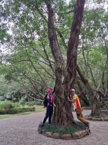 Thumbnail of pic_Szeto_029.jpg