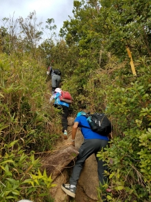 Thumbnail of PC070014.jpg