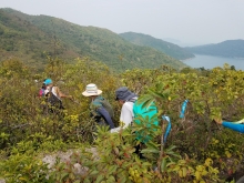 Thumbnail of PC070018.jpg