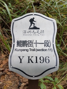 PC140054.jpg (300575 bytes)