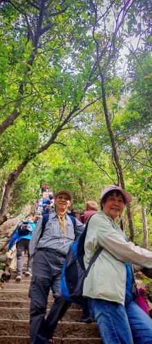 Thumbnail of pic_Cindy_Tse_009.jpg