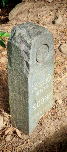 Thumbnail of pic_Cindy_Tse_019.jpg