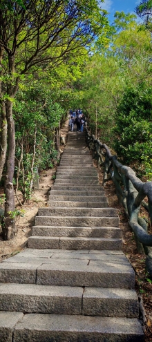 Thumbnail of pic_Cindy_Tse_024.jpg