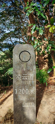 Thumbnail of pic_Cindy_Tse_025.jpg