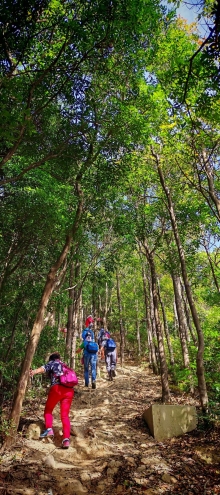 Thumbnail of pic_Cindy_Tse_036.jpg