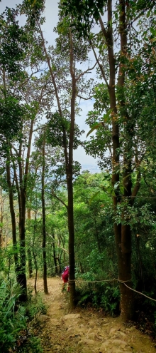 Thumbnail of pic_Cindy_Tse_042.jpg