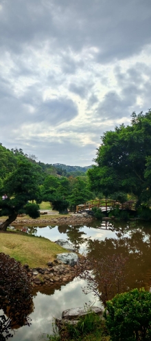 Thumbnail of pic_Cindy_Tse_050.jpg