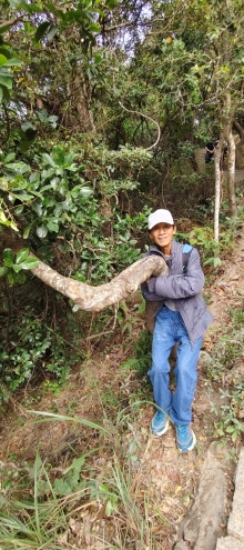 Thumbnail of pic_Derek_Wong_017.jpg