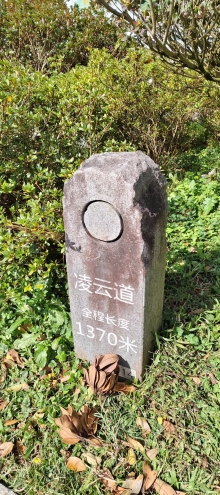 Thumbnail of pic_Derek_Wong_030.jpg