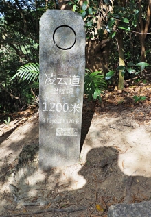 Thumbnail of pic_Lee_Shing_011.JPG