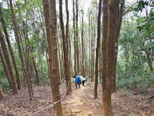 Thumbnail of pic_Lee_Shing_025.JPG