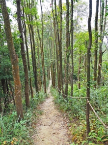 Thumbnail of pic_Lee_Shing_027.JPG