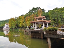 Thumbnail of pic_Lee_Shing_038.JPG