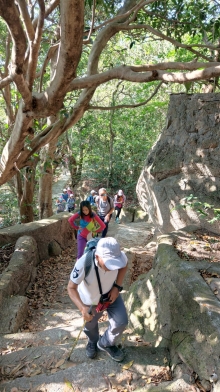 Thumbnail of pic_KL_Sin_024.jpg