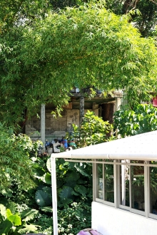 Thumbnail of pic_KL_Sin_035.jpg