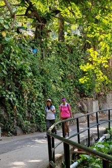 Thumbnail of pic_KL_Sin_038.jpg