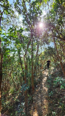 Thumbnail of pic_Si9_020.jpg