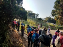 Thumbnail of PC280004.jpg