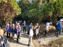 Thumbnail of PC280006.jpg