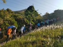 Thumbnail of PC280007.jpg