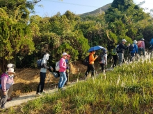 Thumbnail of PC280008.jpg