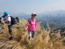 Thumbnail of PC280033.jpg