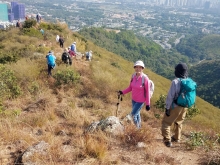 Thumbnail of PC280034.jpg