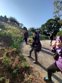 Thumbnail of pic_SK_Kwan_003.JPG