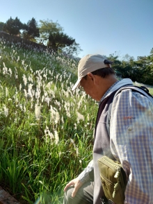 Thumbnail of pic_SK_Kwan_004.JPG