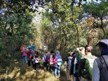 Thumbnail of P1040015.jpg