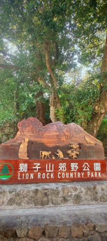 Thumbnail of pic_Cindy_Tse_001.jpg