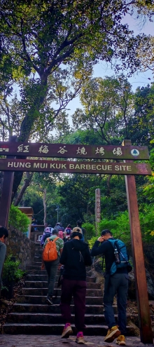 Thumbnail of pic_Cindy_Tse_002.jpg