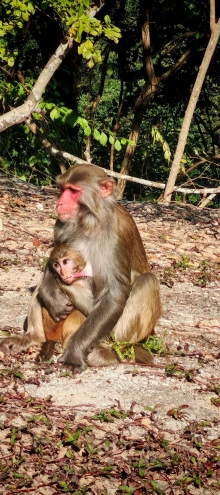 Thumbnail of pic_Cindy_Tse_009.jpg