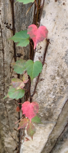 Thumbnail of pic_Derek_Wong_023.jpg