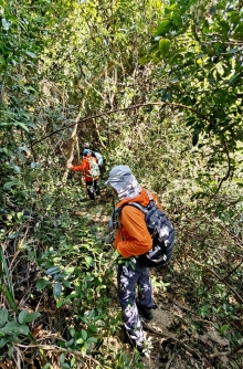 Thumbnail of pic_KW_Sin_024.jpg