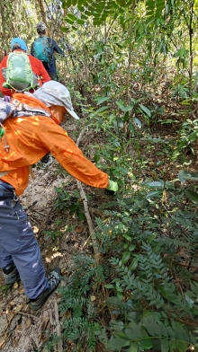 Thumbnail of pic_KW_Sin_025.jpg