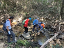 Thumbnail of pic_TB_Tung_012.JPG