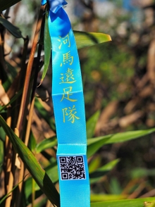 Thumbnail of pic_Lee_Shing_019.JPG