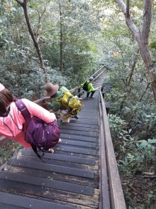 P1180044.jpg (521353 bytes)