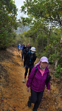 Thumbnail of pic_KW_Li_001.jpg