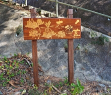 Thumbnail of pic_Lee_Shing_001.JPG