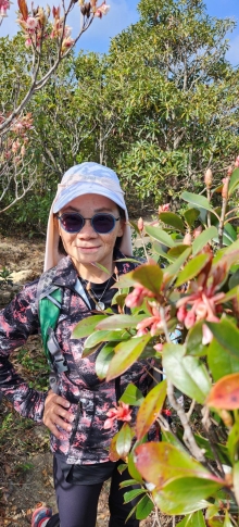 Thumbnail of pic_Si9_025.jpg