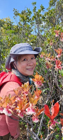 Thumbnail of pic_Si9_032.jpg